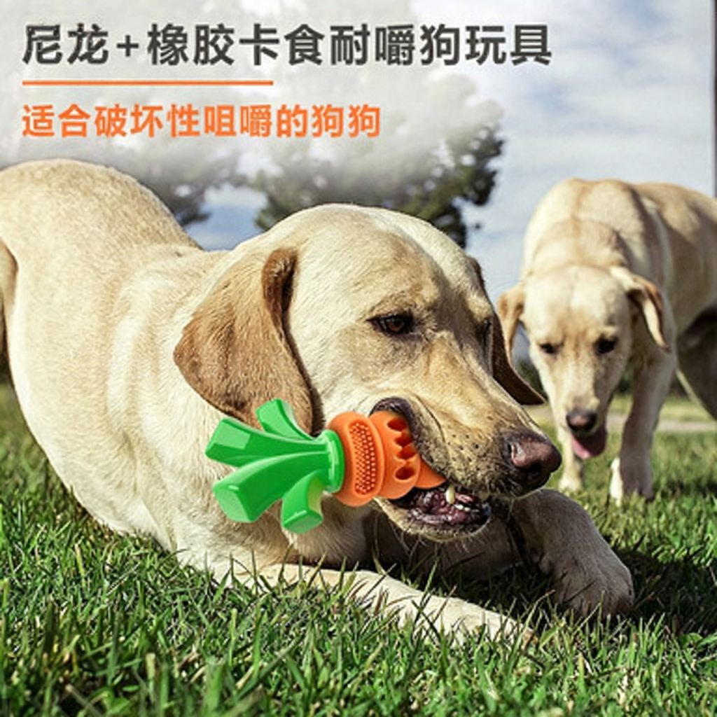 Durable Carrot Dog Toy, Chew-Resistant Pet Toy