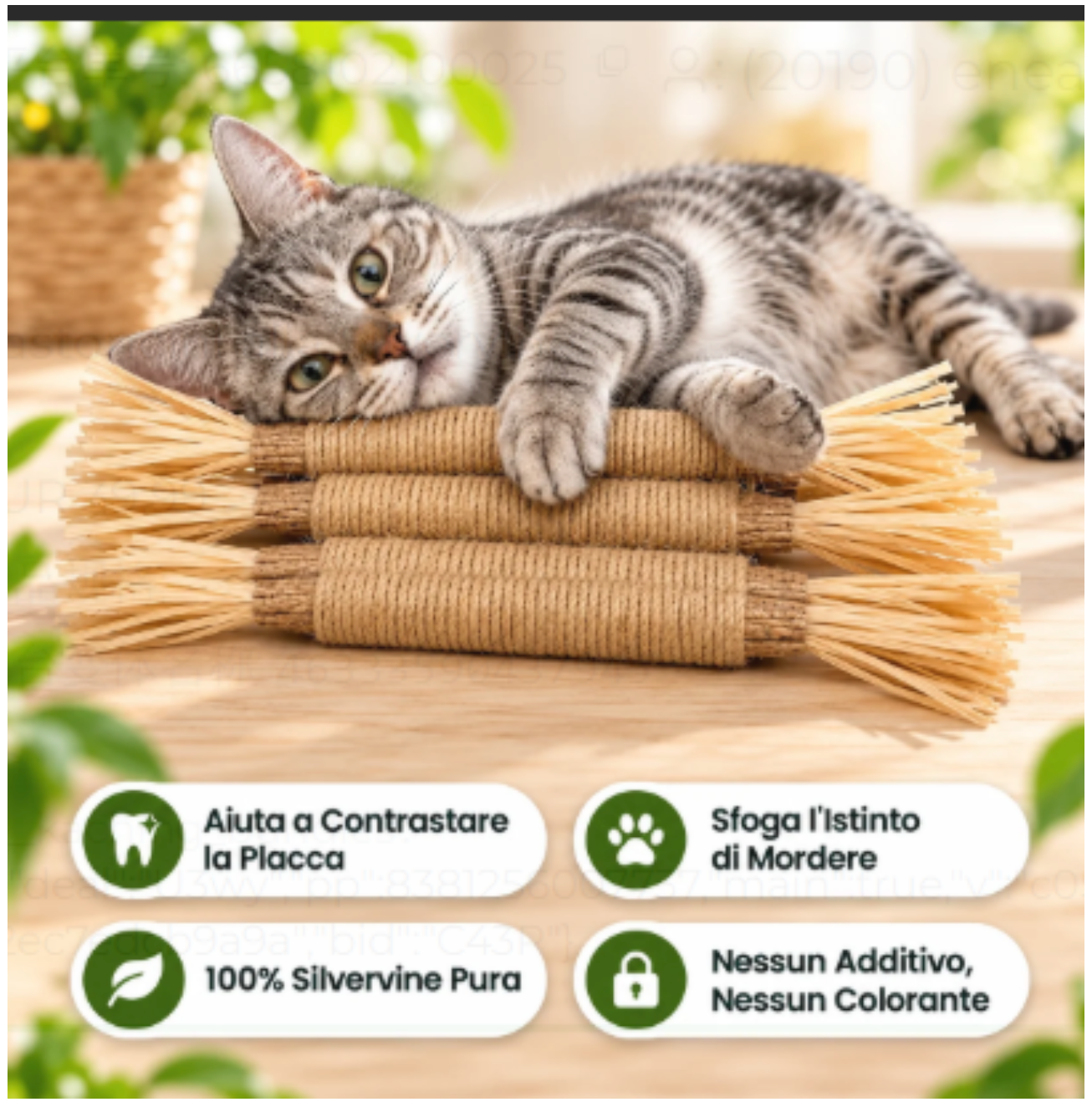 Silvervine Cat Chew Stick
